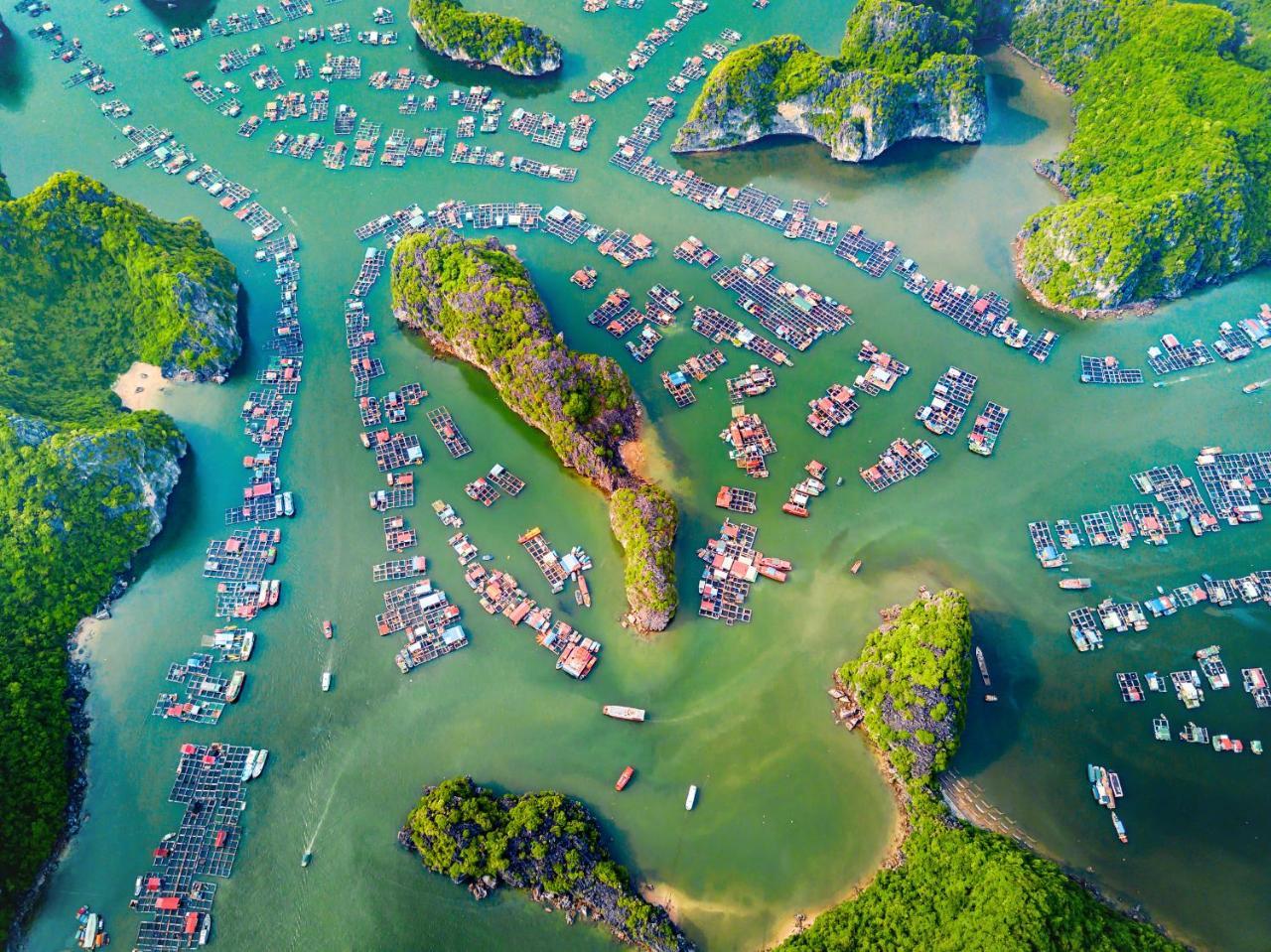 Alibaba'S Hotel Cat Ba Island Zewnętrze zdjęcie